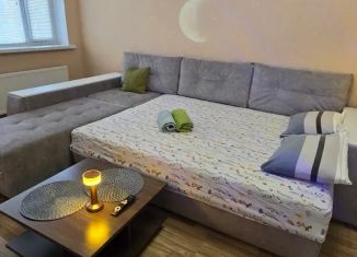1-ком. квартира в аренду, 51 м2, Старый Оскол, микрорайон Степной, 25