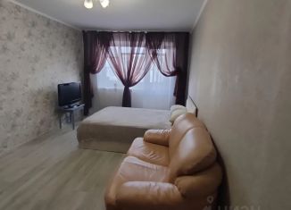 Сдача в аренду 2-ком. квартиры, 44 м2, Челябинская область, Советский переулок, 4