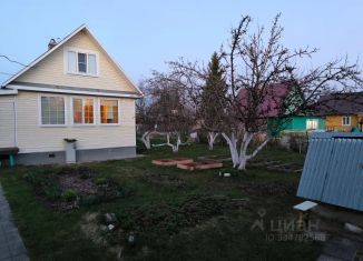 Сдается комната, 16 м2, Ленинградская область, СНТ Дивное, 24