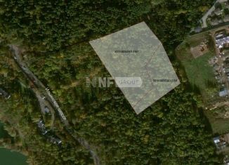 Продается участок, 285 сот., село Петрово-Дальнее