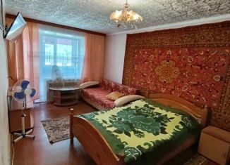 Сдам в аренду 1-комнатную квартиру, 30 м2, Владимирская область, улица Свердлова, 28