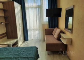Сдается в аренду однокомнатная квартира, 20 м2, Крым, улица Дражинского, 7А