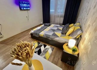 Сдам 1-ком. квартиру, 34 м2, Белгородская область, улица Есенина, 42