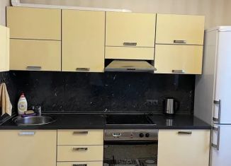 1-ком. квартира в аренду, 50 м2, Старый Оскол, микрорайон Степной, 16