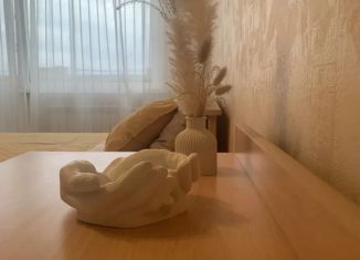Однокомнатная квартира в аренду, 34 м2, Самарская область, улица Челюскинцев, 10