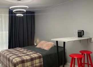 Сдаю в аренду квартиру студию, 28 м2, Курская область, улица Энгельса, 115А/3
