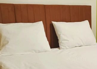 Сдаю однокомнатную квартиру, 45 м2, Ижевск, улица Карла Маркса, 455
