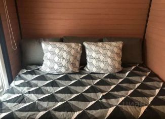 Сдается дом, 30 м2, деревня Осеченки, Графская улица, 17