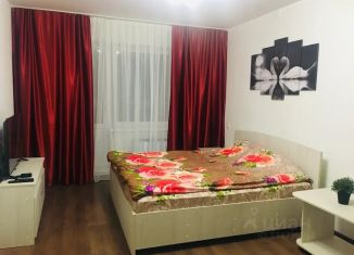 Сдается однокомнатная квартира, 34 м2, Орёл, улица Игнатова, 37, Советский район