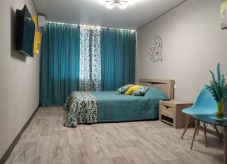 Сдается в аренду 1-комнатная квартира, 38 м2, Белгородская область, улица Шаландина, 10