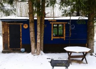 Сдается в аренду дом, 45 м2, Ленинградская область, площадь Мира