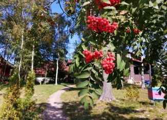 Сдается в аренду дом, 75 м2, Ленинградская область, СНТ Звезда, 508