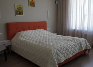 Сдаю комнату, 22 м2, Ленинградская область, ТСН Дони, 249