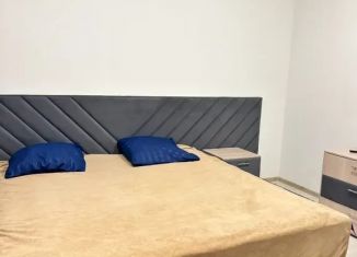 Сдача в аренду комнаты, 29 м2, Белгородская область, Набережная улица, 7