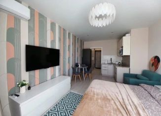 Сдаю в аренду 1-ком. квартиру, 25 м2, Белгородская область, улица Победы, 126