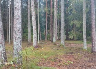 Продажа участка, 20 сот., Ленинградская область