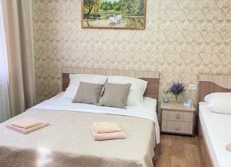 Сдается в аренду дом, 48 м2, Ессентуки, Кисловодская улица, 35