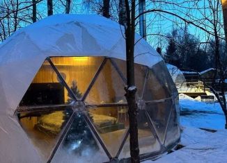 Сдам дом, 36 м2, Московская область, СНТ Машенька, 21