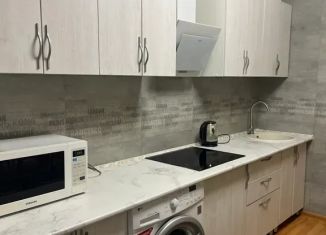 Сдается 1-ком. квартира, 34 м2, Курск, улица Герцена, 1, Железнодорожный округ