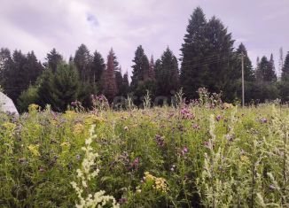 Продаю участок, 25 сот., Пермский край