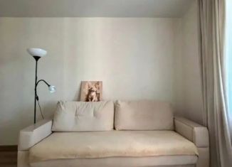 Сдаю 1-ком. квартиру, 28 м2, Ижевск, улица Ленина, 95