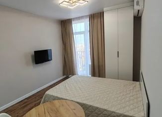 Сдам квартиру студию, 25 м2, Астрахань, Моздокская улица, 40В, Советский район
