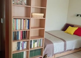 Аренда 1-комнатной квартиры, 33 м2, Архангельская область, улица Гагарина, 20