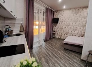 Сдается в аренду 1-комнатная квартира, 25 м2, Чита, микрорайон Каштакский, 3