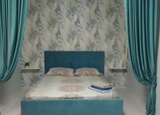 Сдача в аренду однокомнатной квартиры, 48 м2, Белгородская область, улица Щорса, 45Л