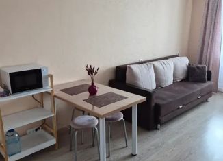 Сдается квартира студия, 23 м2, Киров, Московская улица, 207, Октябрьский район