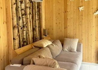 Сдается в аренду дом, 40 м2, посёлок Елизаветино