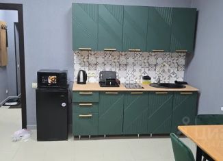 Сдаю квартиру студию, 26 м2, Мценск, улица Тургенева, 170А