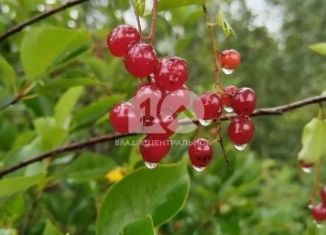 Участок на продажу, 4 сот., Новосибирская область