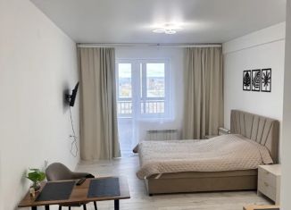 Сдается в аренду квартира студия, 28 м2, Чита, Проезжая улица, 1А