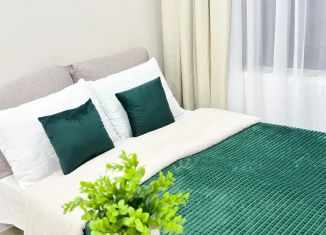 Сдам в аренду квартиру студию, 23 м2, Курган, 18-й микрорайон, 7