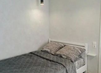 Аренда однокомнатной квартиры, 42 м2, Владимирская область, улица Сергея Лазо, 7