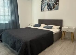 Аренда 1-ком. квартиры, 42 м2, Ижевск, улица Карла Маркса, 120к2