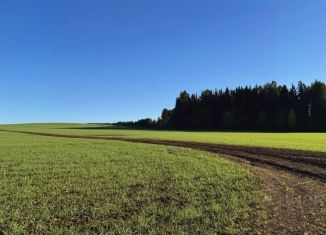 Продаю земельный участок, 25 сот., Удмуртия