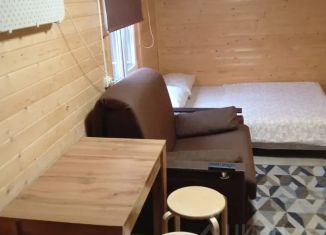 Сдам дом, 25 м2, деревня Осеченки, Графская улица, 17