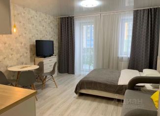 Сдача в аренду однокомнатной квартиры, 30 м2, Ижевск, улица Карла Маркса, 308к1