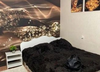 Аренда 1-ком. квартиры, 35 м2, Владимирская область, улица Старых Большевиков, 30