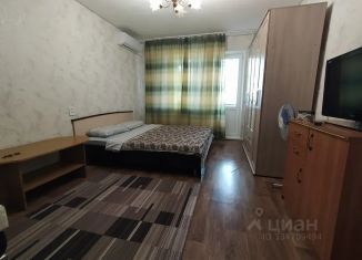 1-комнатная квартира в аренду, 38 м2, Белгородская область, микрорайон Олимпийский, 20