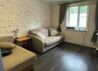 Сдается дом, 45 м2, Ленинградская область, деревня Коккорево, 10