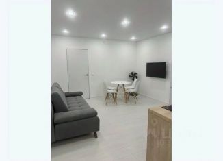 Аренда 2-ком. квартиры, 42 м2, Ижевск, улица Карла Маркса, 120к1, Первомайский район