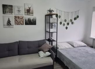 Сдам в аренду 1-комнатную квартиру, 30 м2, Новый Оскол, улица 1 Мая, 6
