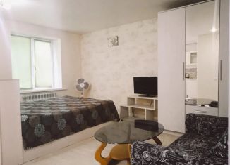 Аренда квартиры студии, 30 м2, Белгородская область, улица Губкина, 44В