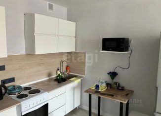 Аренда квартиры студии, 29 м2, Курская область, улица Энгельса, 158