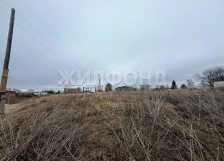 Продажа участка, 16.33 сот., село Береговое