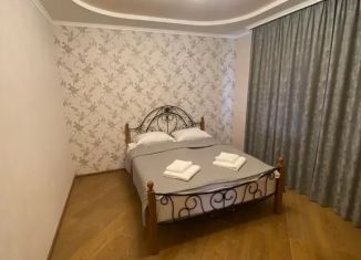 Сдаю дом, 55 м2, Ставропольский край, улица Чапаева, 27