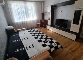 Сдается в аренду однокомнатная квартира, 50 м2, Благовещенск, улица Шевченко, 70
